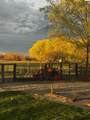 168802 Johnson Rd - Photo 48