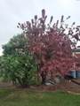 168802 Johnson Rd - Photo 49