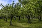 NKA Kendall Rd - Photo 5