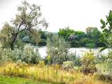 TBD Christy Rd. - Photo 3