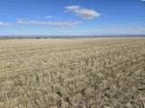 50411 C Williams Rd - Photo 12