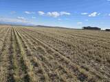 50411 C Williams Rd - Photo 8