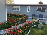 3324 19th Ave #53 - Photo 6