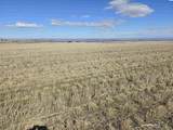 50411 C Williams Rd - Photo 4