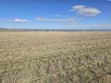 50411 C Williams Rd - Photo 5