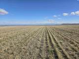 50411 C Williams Rd - Photo 9