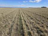 50411 C Williams Rd - Photo 15