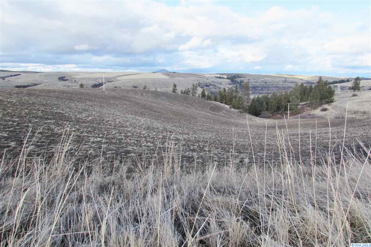 TBD Hilty Rd - Photo 1