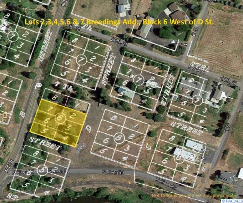 Lots 2-7 Breedings Block 6 West Of D St. - Photo 1