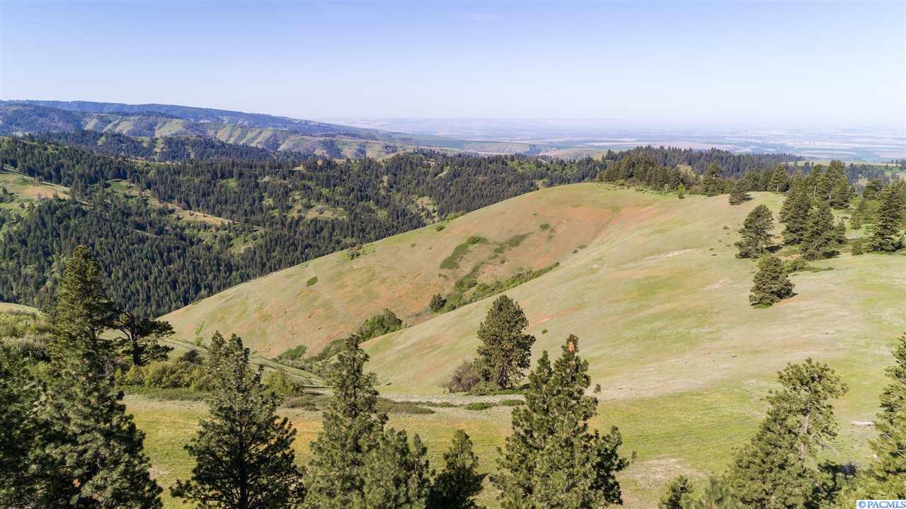 N/A Biscuit Ridge Road - Photo 1