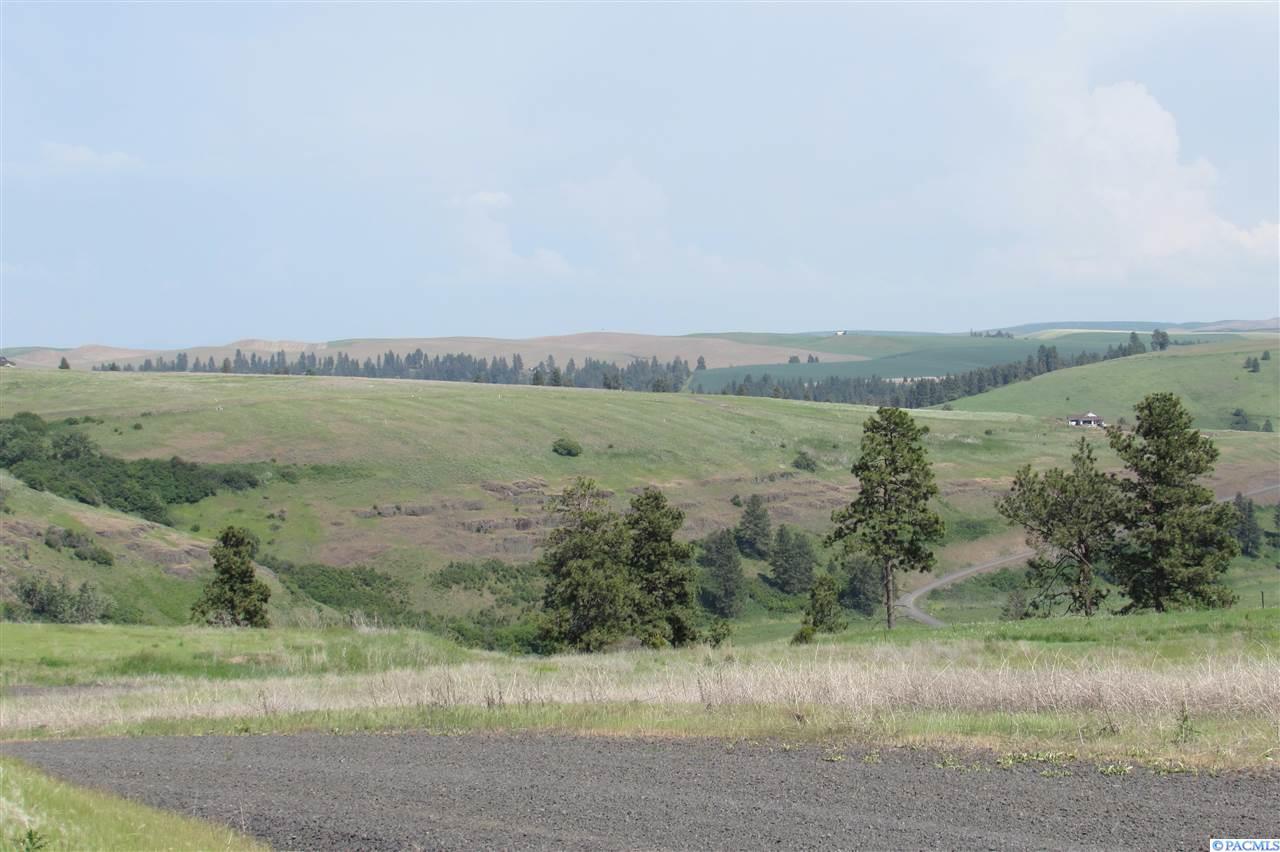 Lot 9 Red Tail Ridge - Photo 1