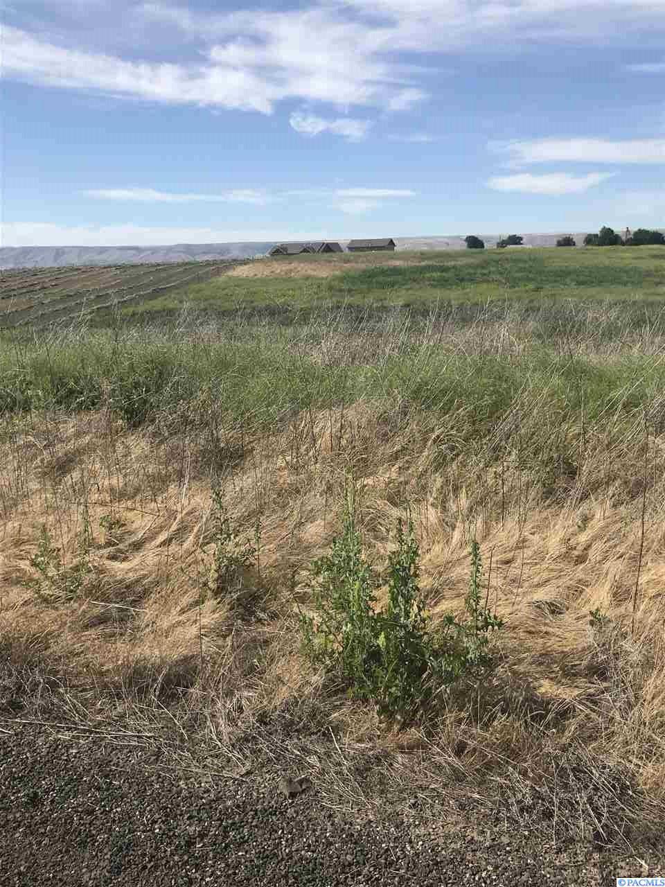 Lot 7 BLK 115 Powers Avenue - Photo 1