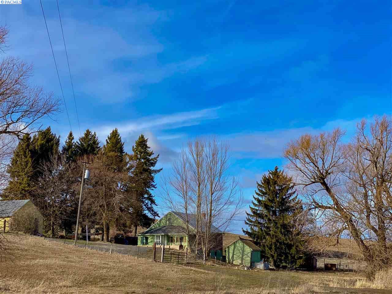 952 Carothers Rd. - Photo 1