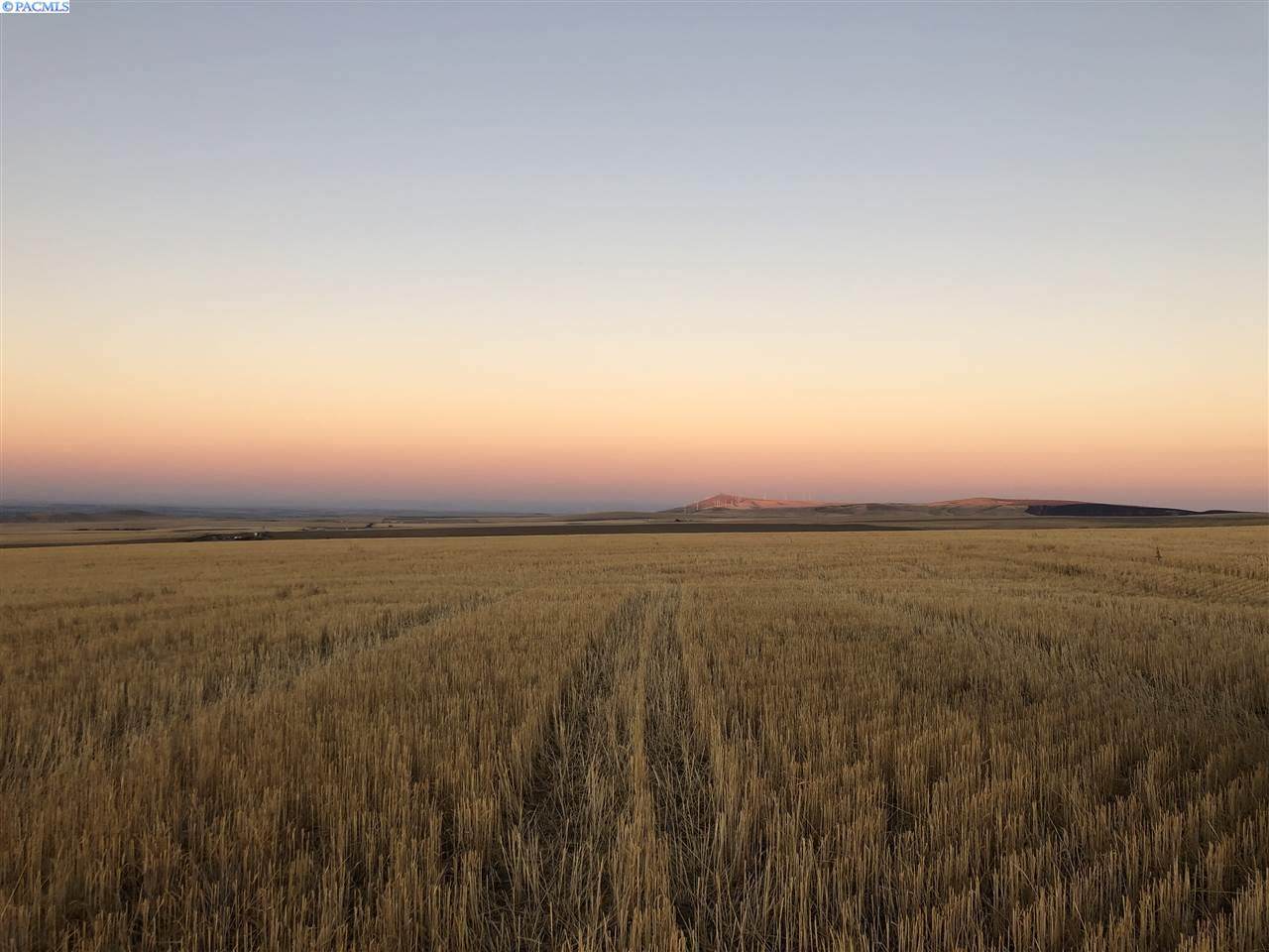 tbd Williams Rd - Photo 1