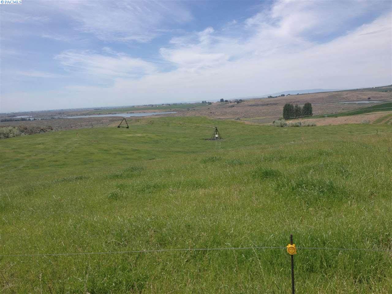 TBD Coyan - Photo 1