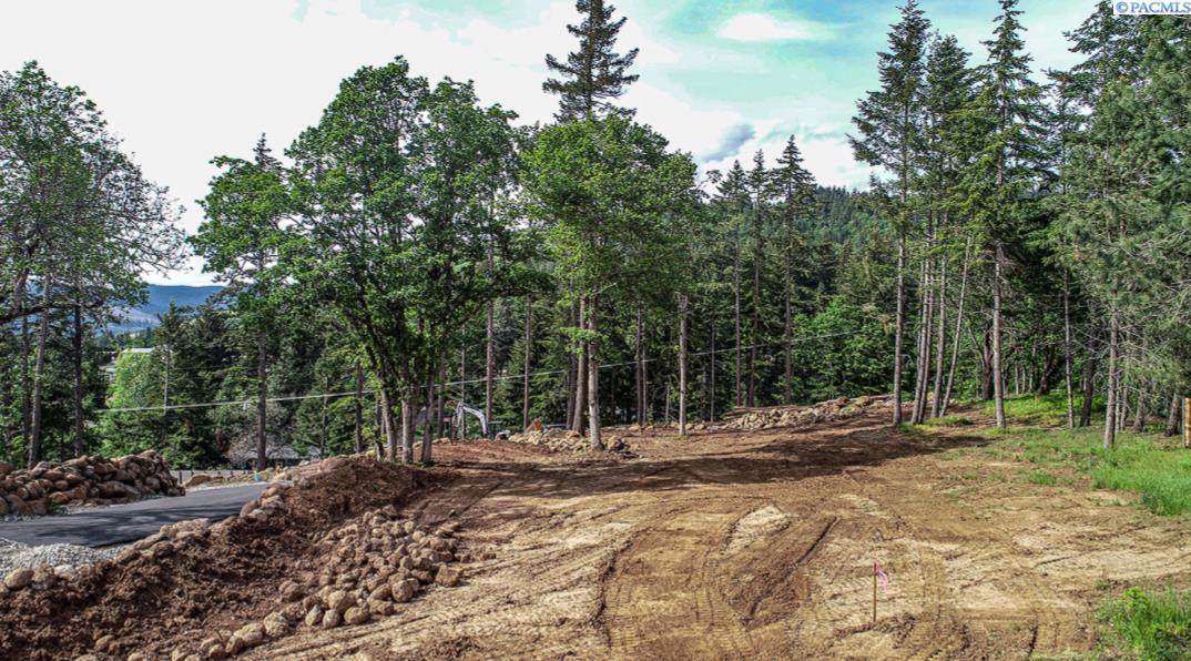 1255 Painted Sky Lane (Lot3) - Photo 1