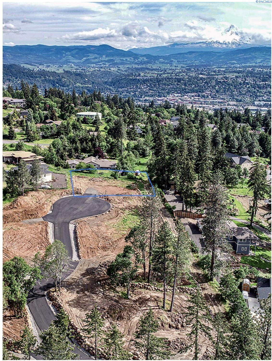 1212 Painted Sky Lane (Lot1) - Photo 1