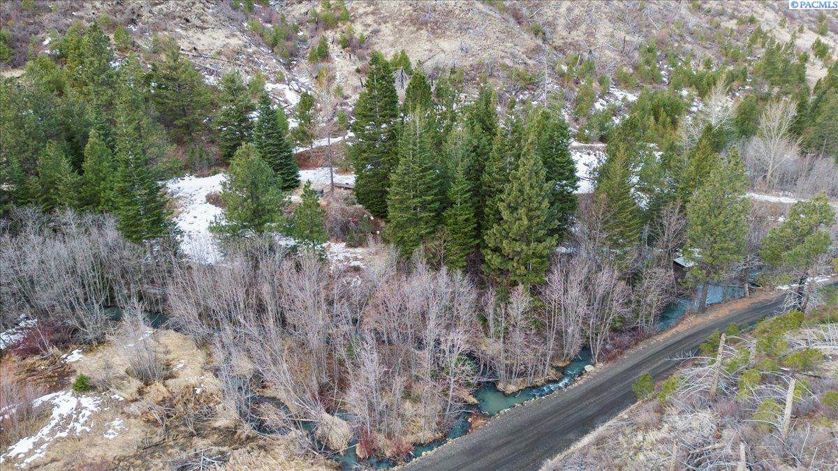 3 Tbd Pataha Creek Road - Photo 1