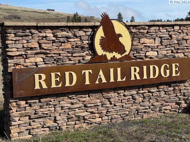 18 Red Tail Ridge - Photo 1