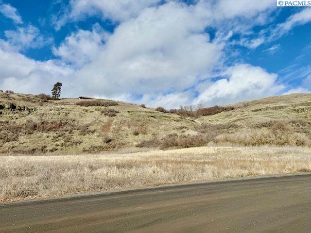 20 Red Tail Ridge - Photo 1