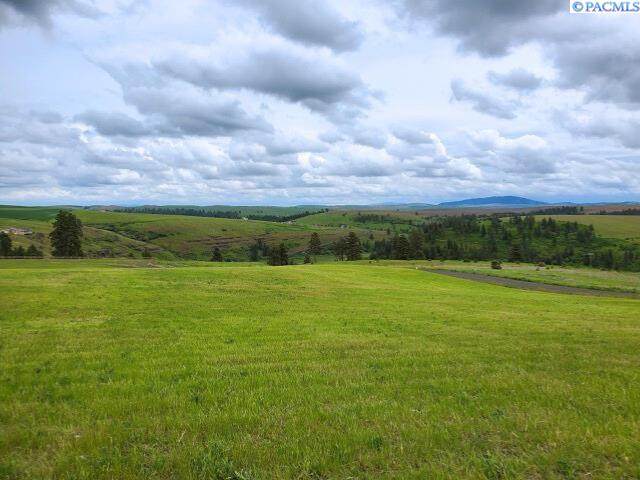 Lot 9 Red Tail Ridge - Photo 1