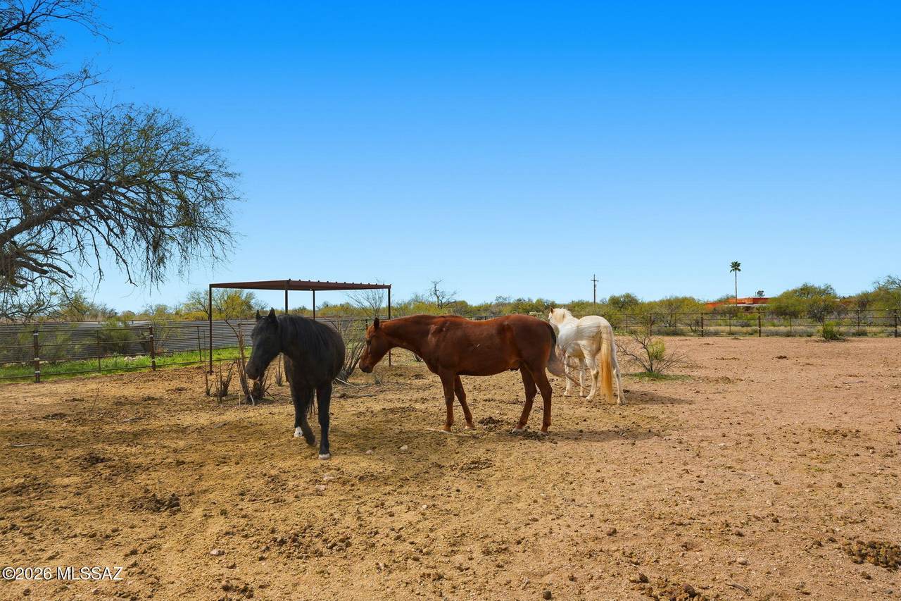 https://bt-photos.global.ssl.fastly.net/tucson/1280_boomver_13_22604265-2.jpg
