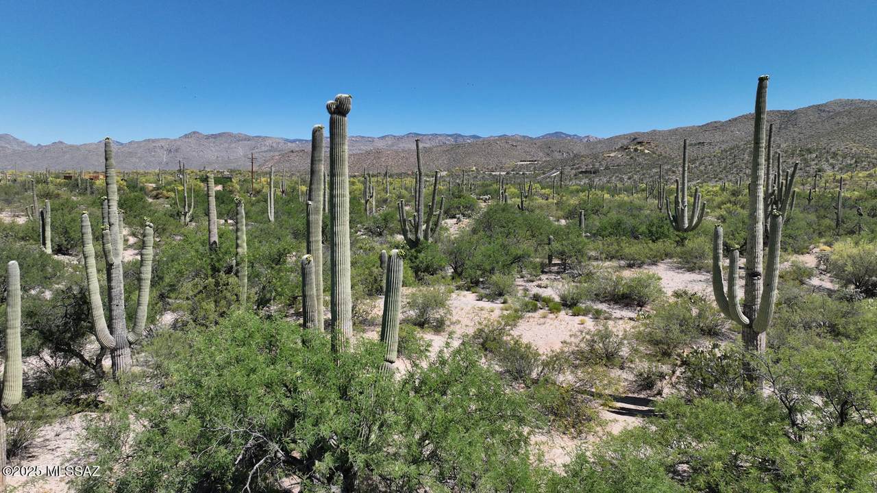 https://bt-photos.global.ssl.fastly.net/tucson/1280_boomver_13_22527173-2.jpg