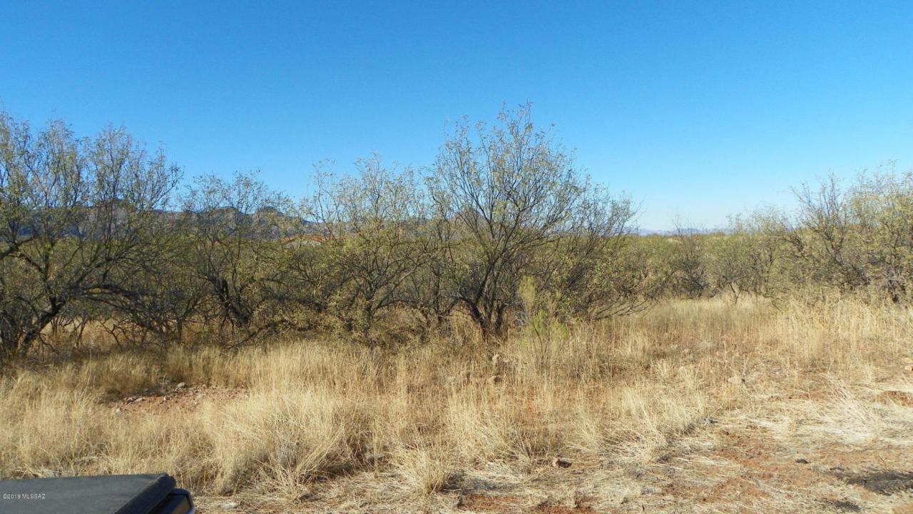 1499 Circulo Sombrero - Photo 1