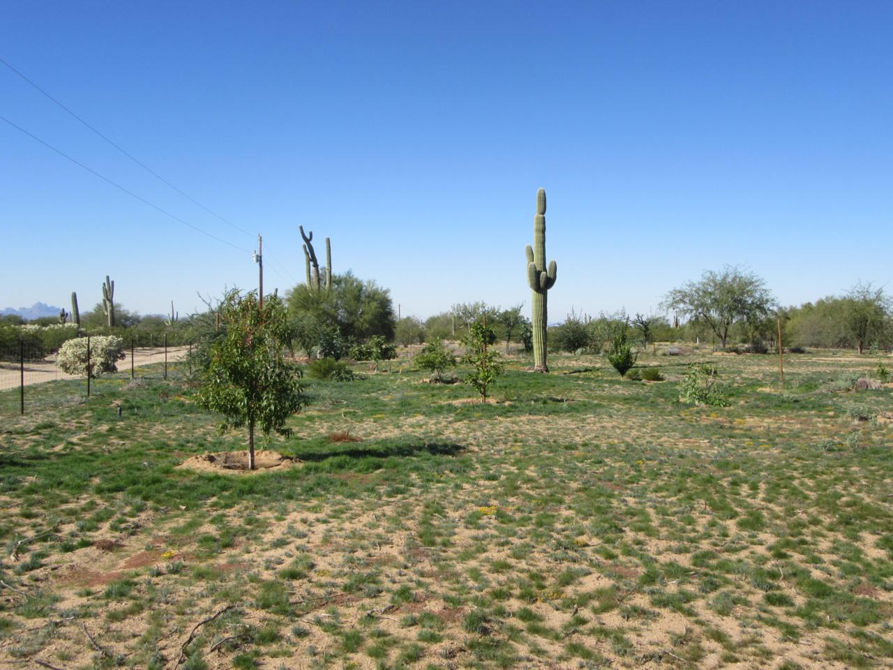 XX Knofler & Staghorn Lane - Photo 1