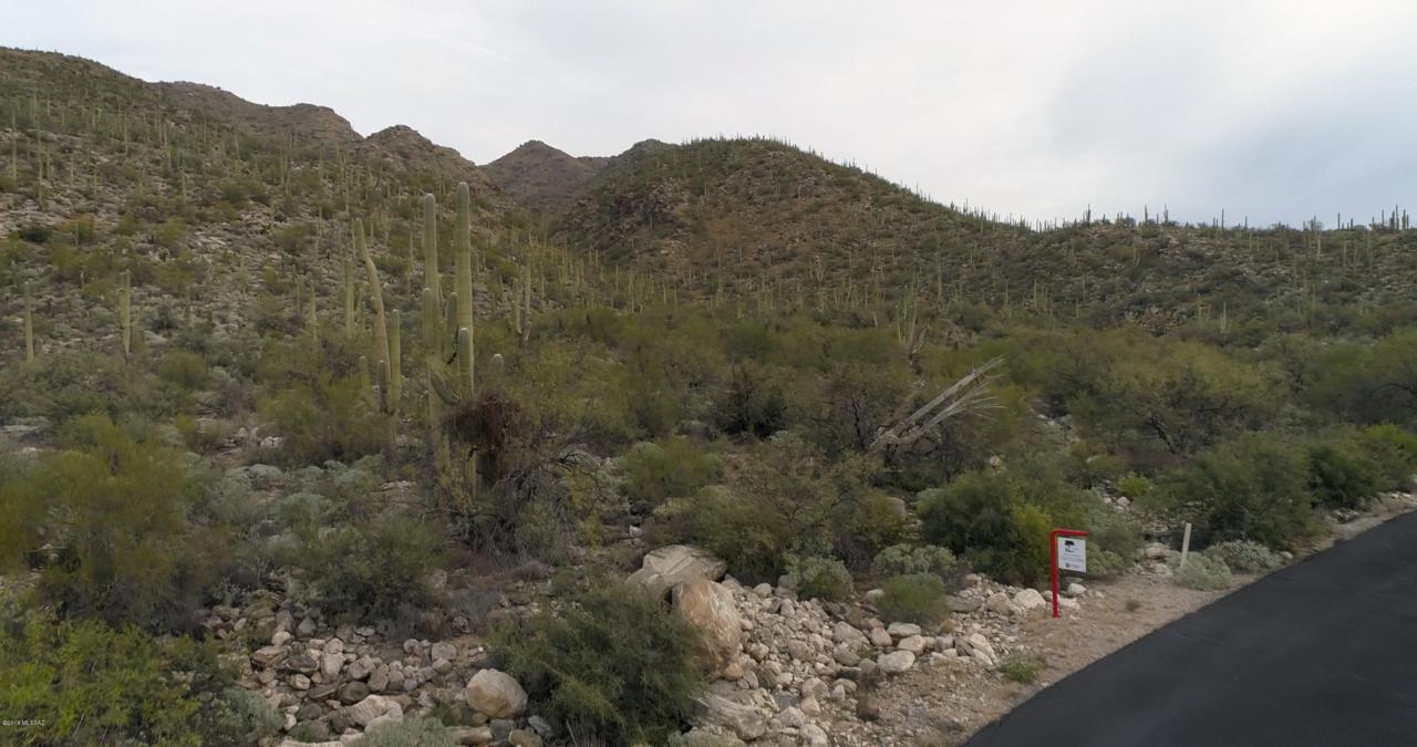 5444 Avenida De La Colina - Photo 1
