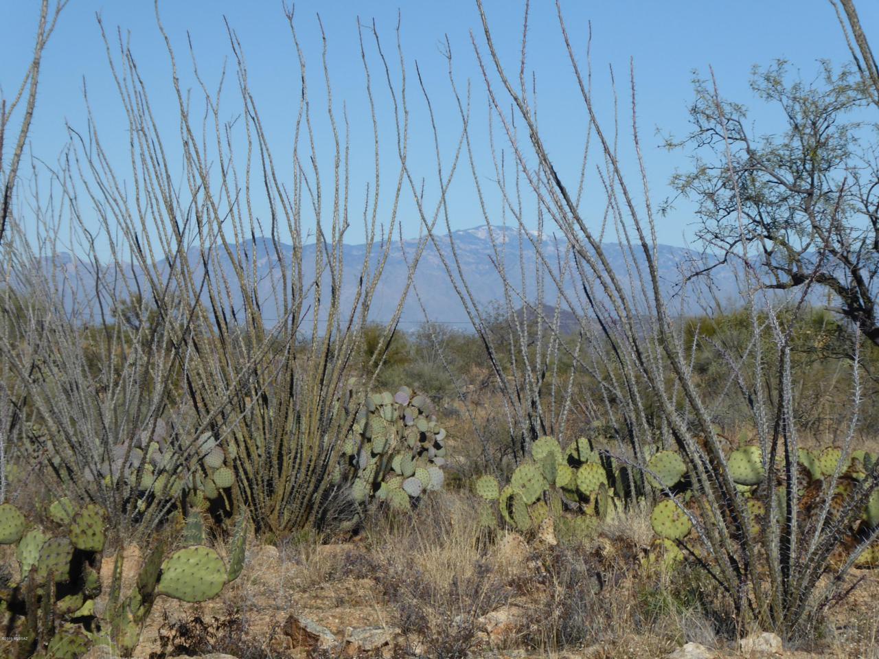 Maverick Road - Photo 1