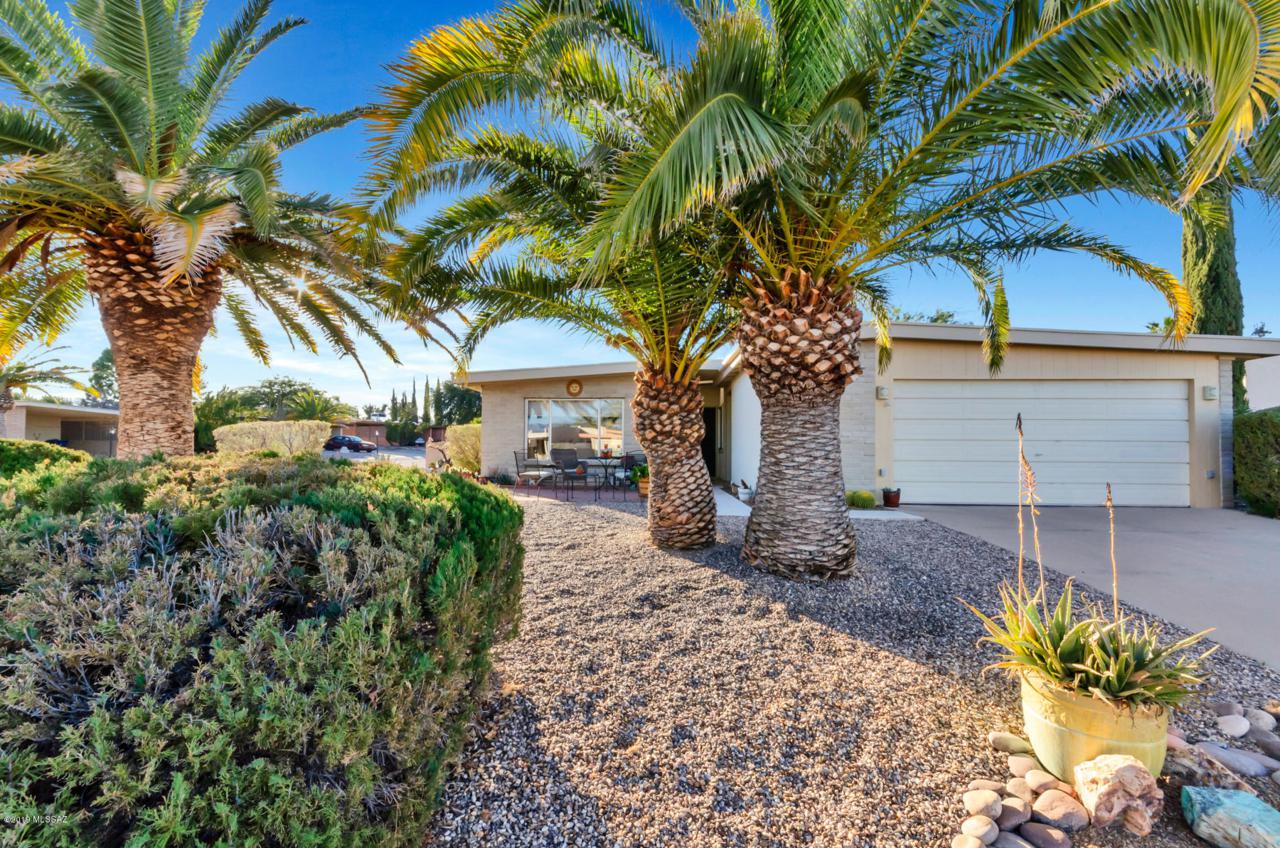 617 Rio San Pedro - Photo 1