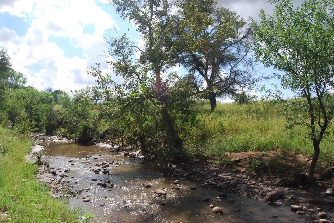 Turkey Creek Road - Photo 1