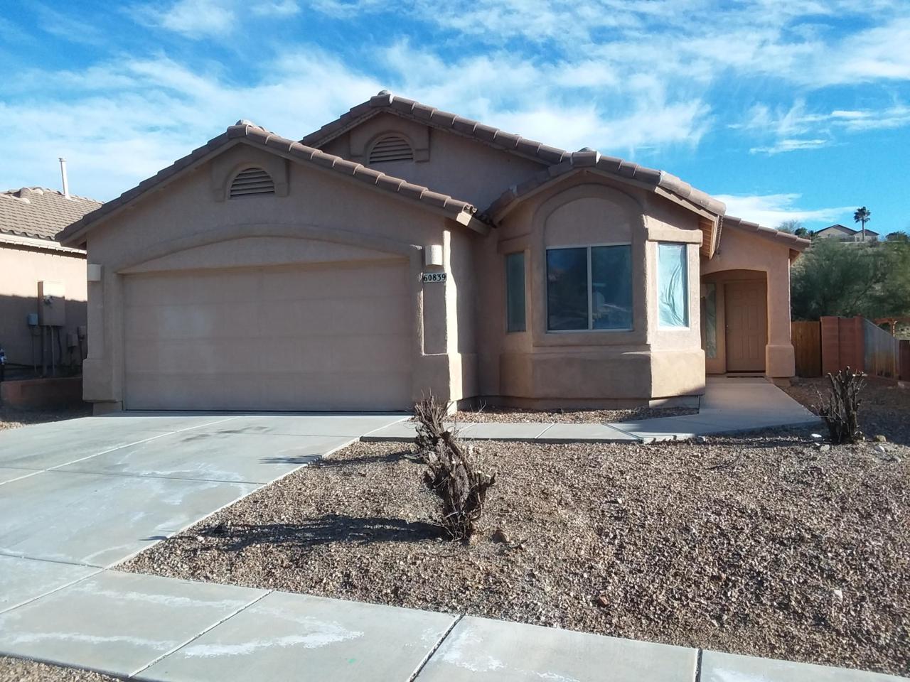 60839 Silky Mane Drive - Photo 1