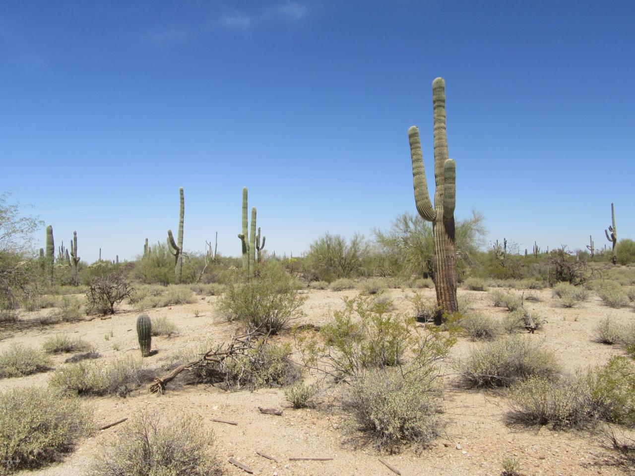 XX Staghorn Lane - Photo 1