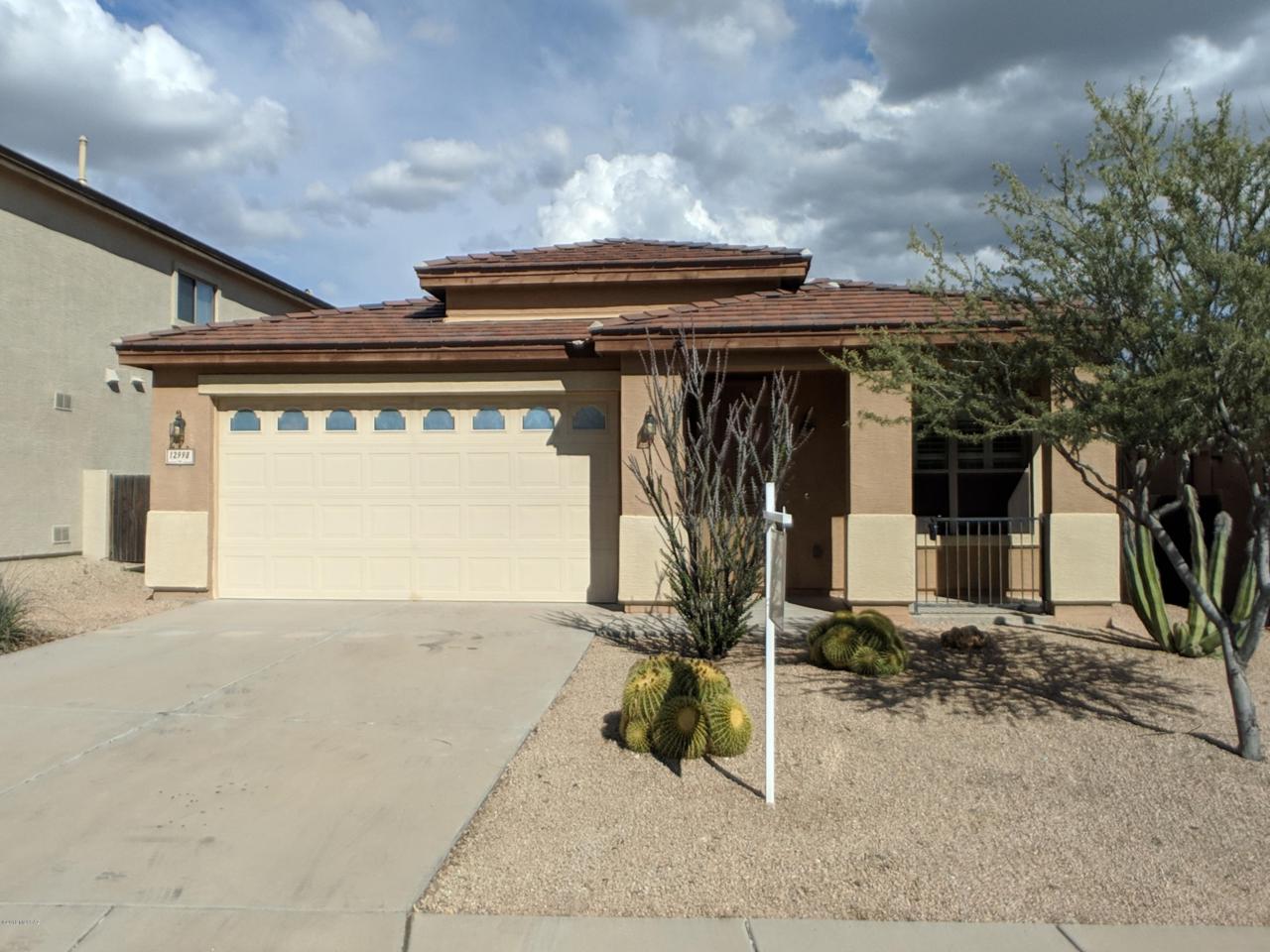 12998 Yellow Orchid Drive - Photo 1