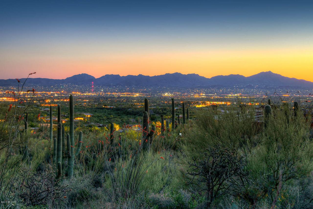 1794 Barrell Cactus Court - Photo 1