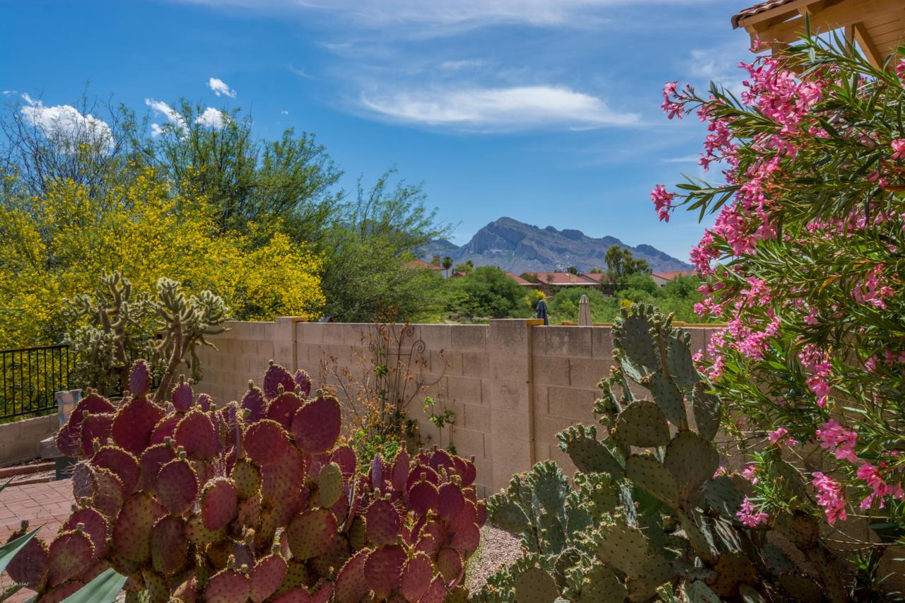 11526 Eagle Peak Drive - Photo 1