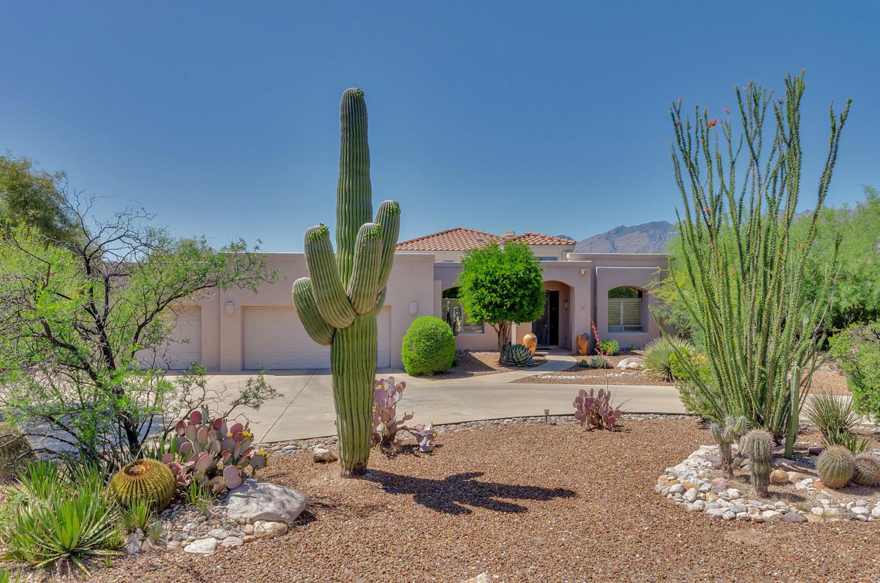 8753 Bear Paw Place - Photo 1