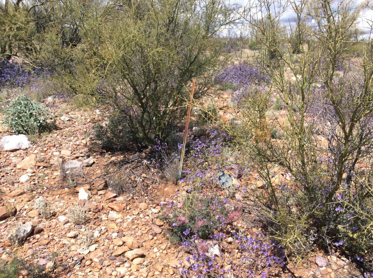 https://bt-photos.global.ssl.fastly.net/tucson/1280_boomver_1_21914170-2.jpg