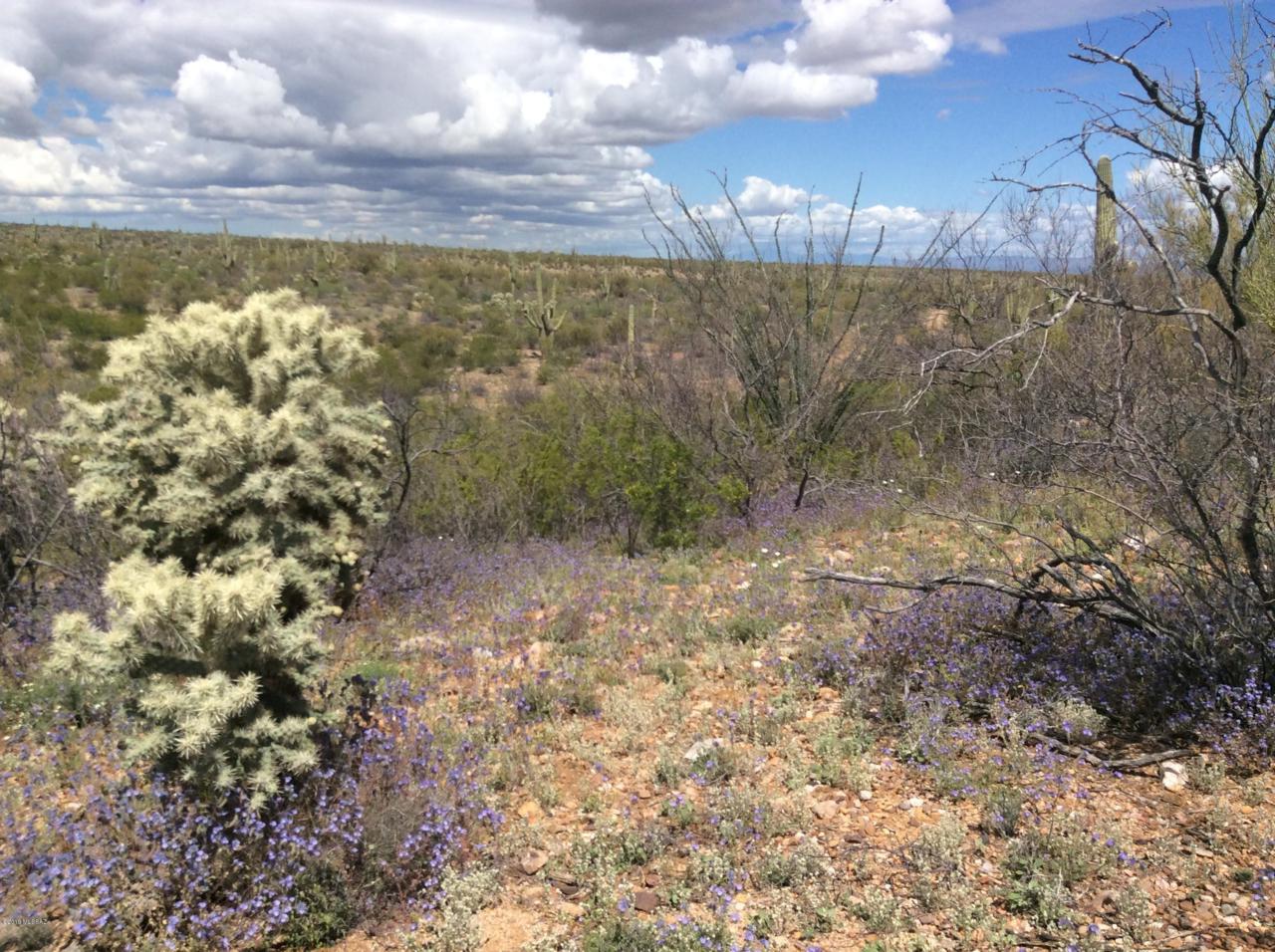 https://bt-photos.global.ssl.fastly.net/tucson/1280_boomver_1_21914170-2.jpg