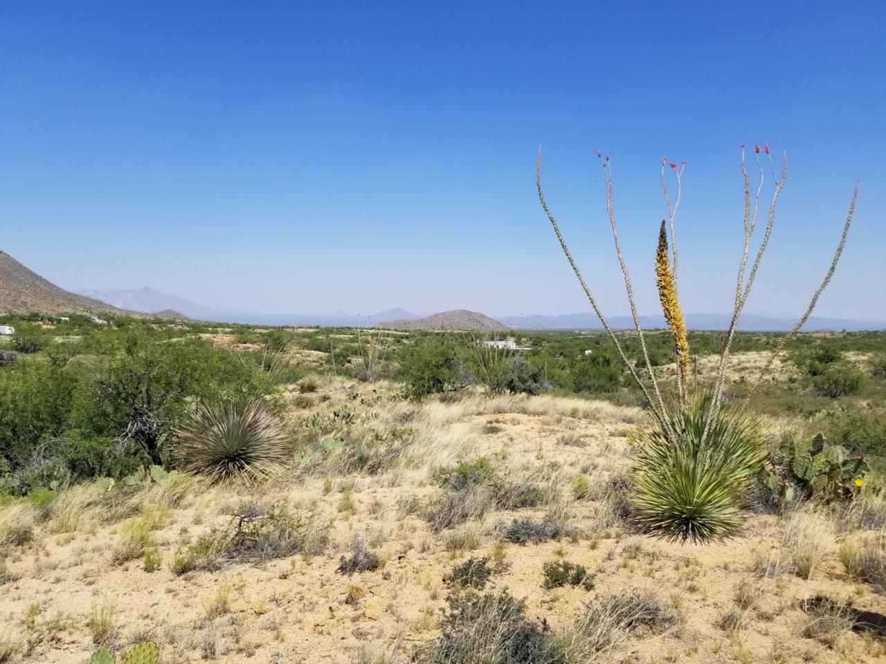 Sierrita Mountain Road - Photo 1