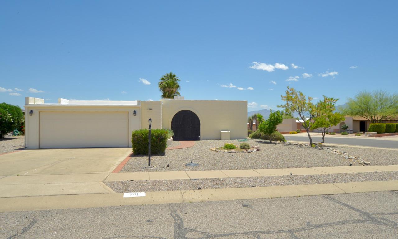 781 Rio San Pedro - Photo 1