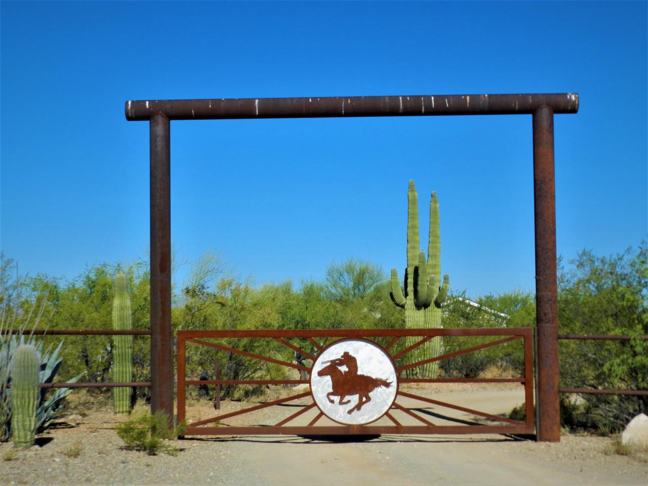 18050 Desert Saguaro Shadow Place - Photo 1