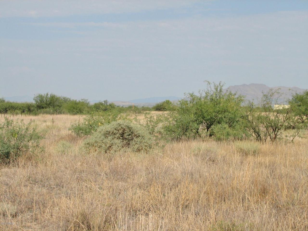 5.308 ACRE Casas Lindas Drive - Photo 1