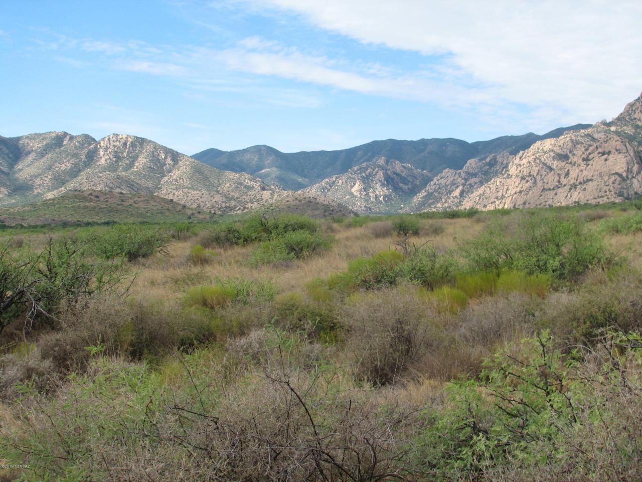 Blacktail Canyon Road - Photo 1