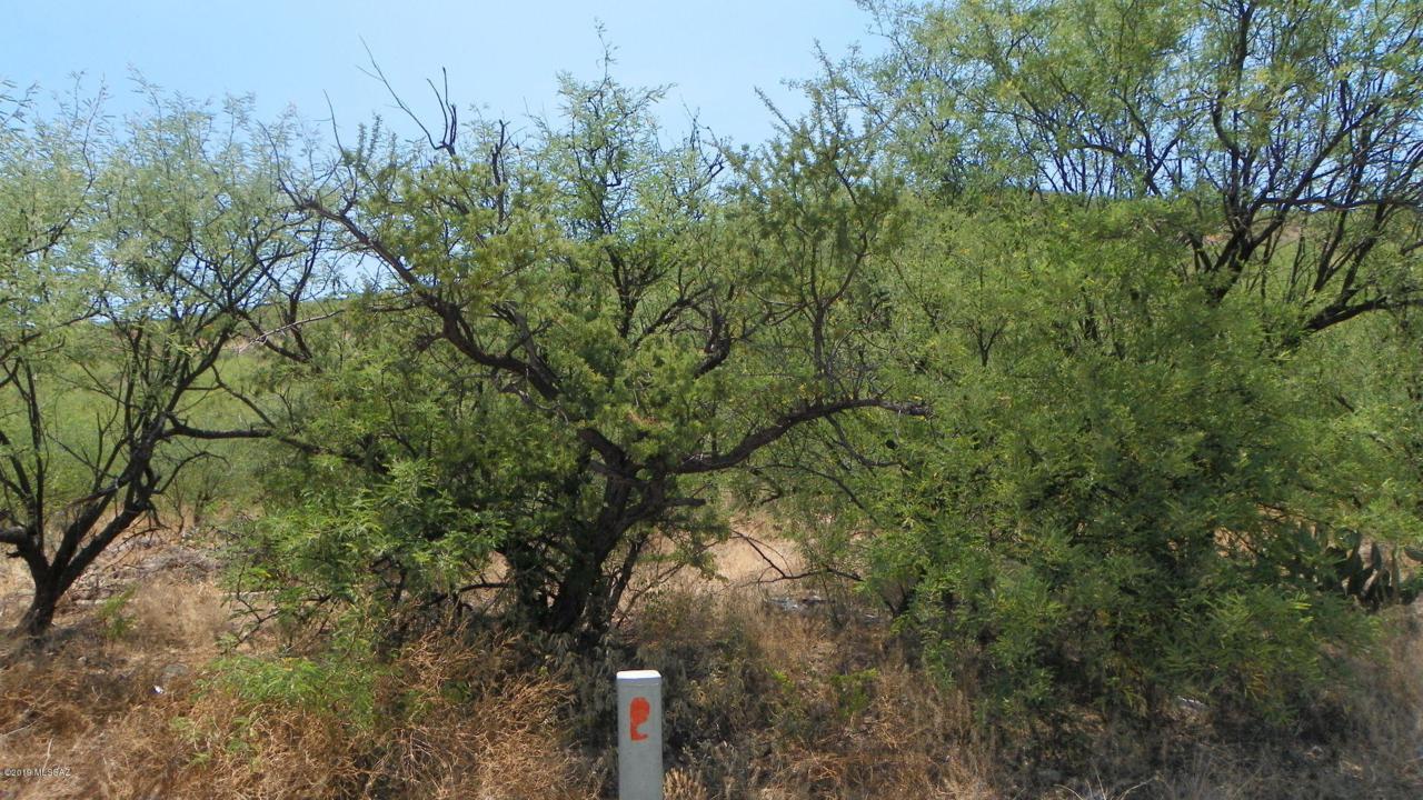 496 Aveinda Papalote - Photo 1