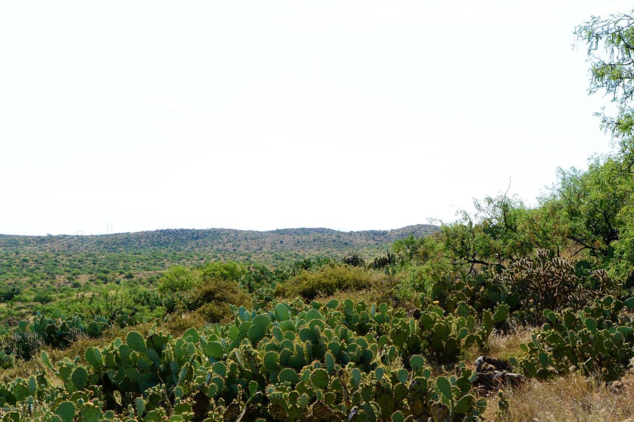 TBD Oro Creek Drive - Photo 1