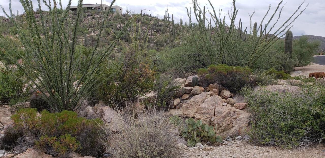 15096 Gallery Overlook Place - Photo 1