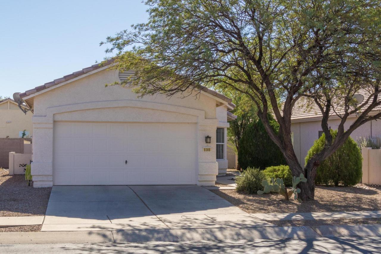9388 Painted Sky Drive - Photo 1